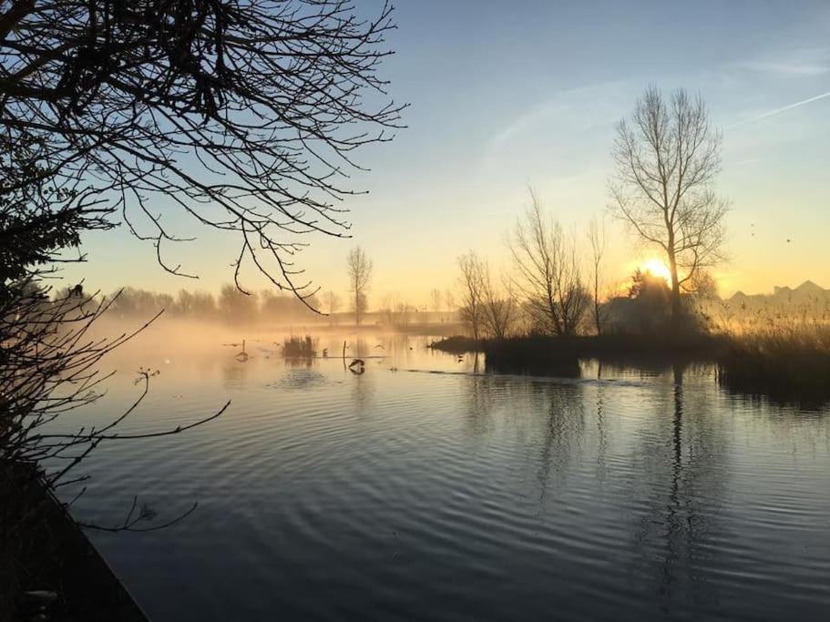 メーデムブリク Gezellige Pipo Met Grote Schommel Aan Het Waterヴィラ エクステリア 写真